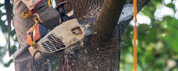 Best Tree Mulching  in West End Cobb Town, AL